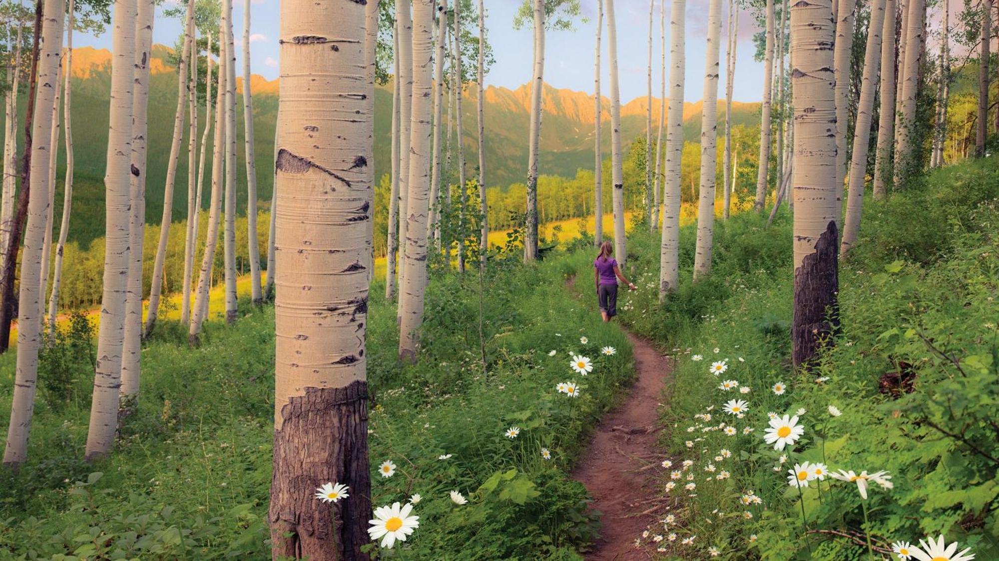 Lift House Lodge, Vail Lionshead Studio Condo, Walk To Gondola Bagian luar foto
